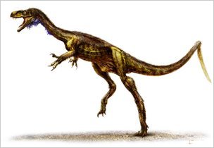 Eodromaeus - Dawn Of The Dinosaurs